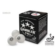 Мячи для н/т GAMBLER P40+ BALL - 36 PACK